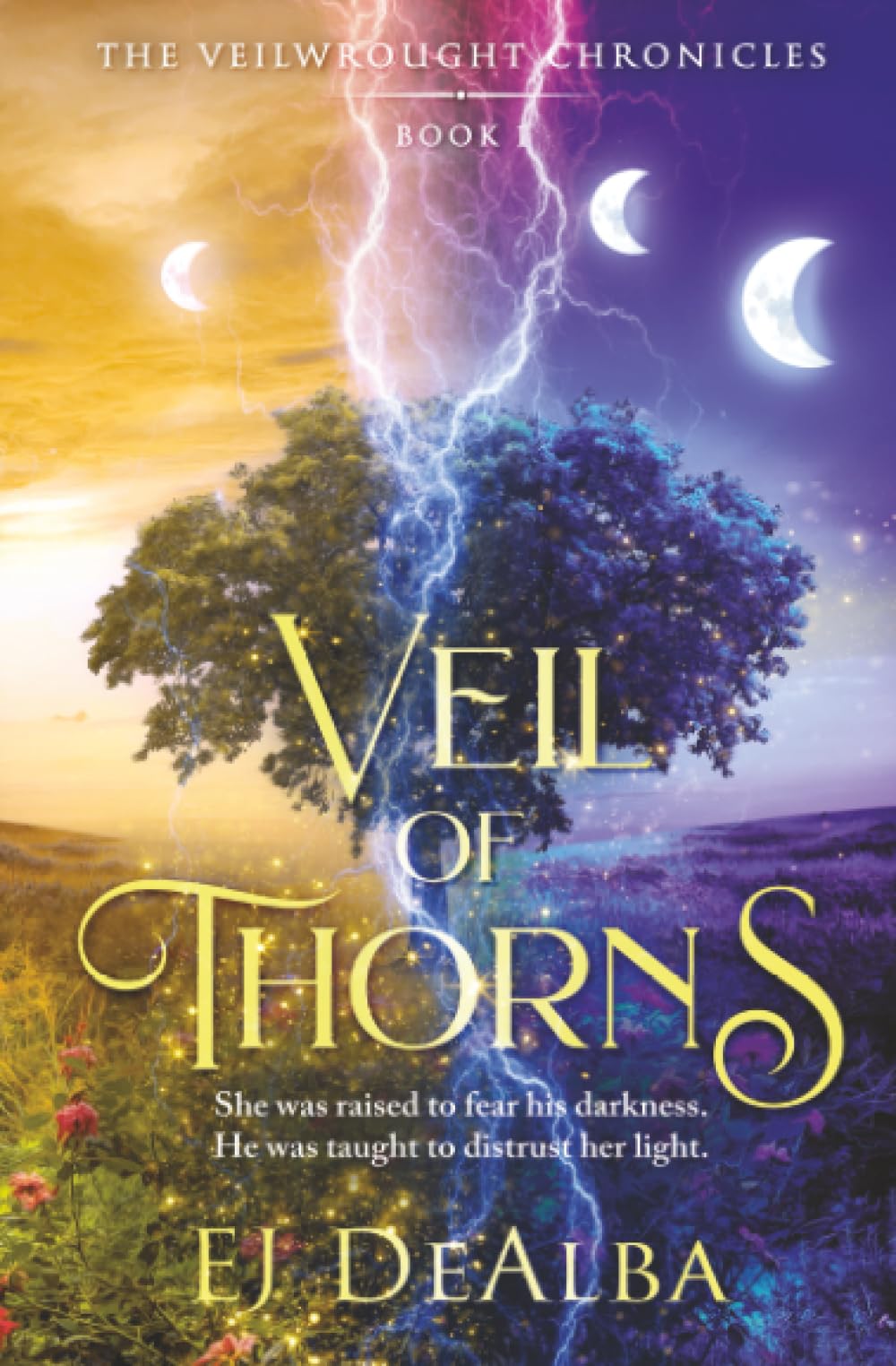 Veil of Thorns: 1 (The Veilwrought Chronicles)