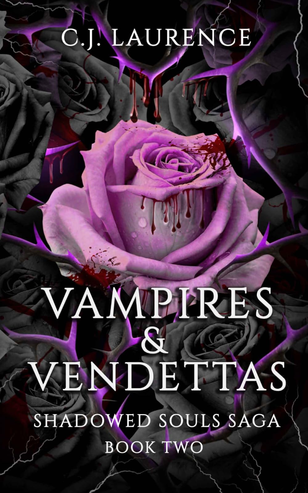 Vampires & Vendettas: A Dark Paranormal Romance of Demons, Vampires, Seduction, and Revenge: 2 (Shadowed Souls Saga)