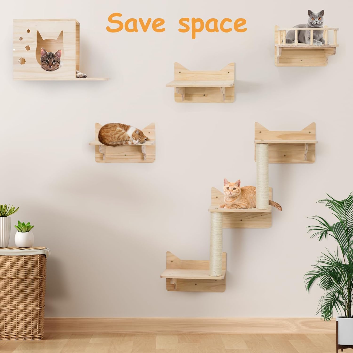https://m.media-amazon.com/images/I/71J5JS1hKTL._AC_SL1500_.jpg