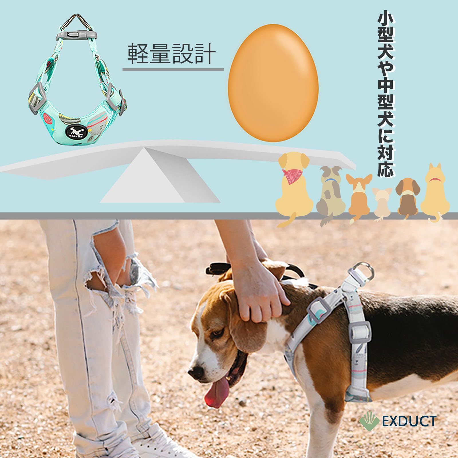 Amazon | EXDUCT 犬用ハーネス ハーネス 犬用胴輪 小型犬 中型犬