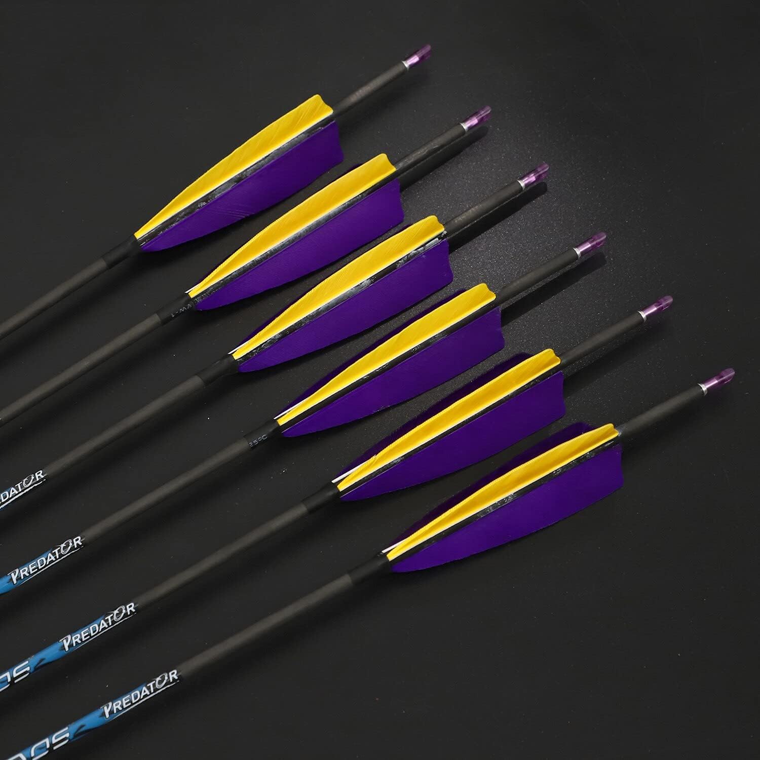 350 Spine Arrow 30 Inch Arrow Target Practice Arrow Hunting Arrow Carbon Arrows Compound Bow Recurve Bow Adult Youth Archery Indoor Outdoor Shooting Bullet Tip 12pc Purple