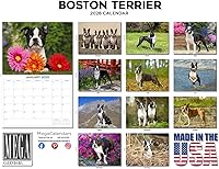 Vista 537 de Razas de Perros 2017