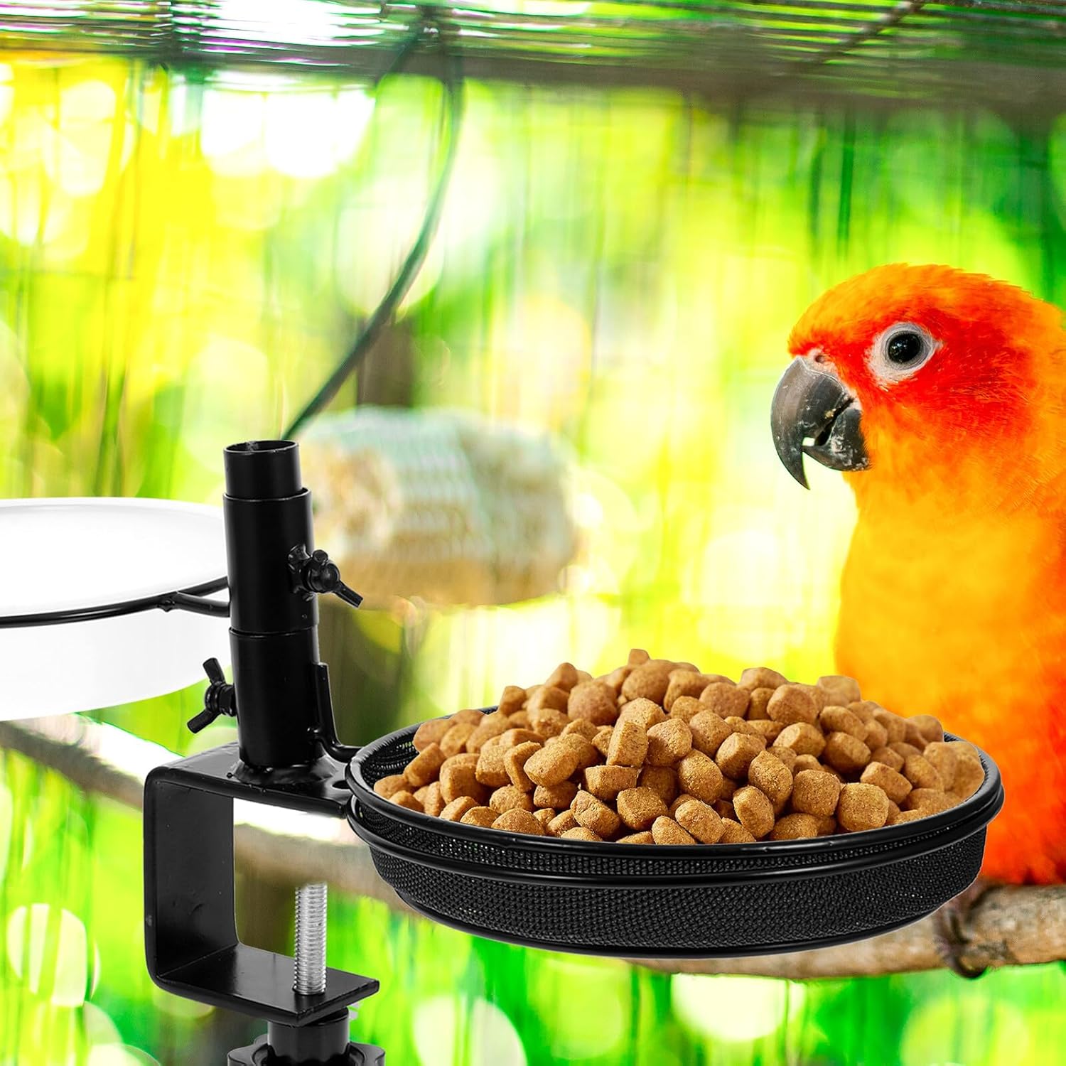 NUOBESTY Bird Feeding Bowl with Metal Clamp Bracket, Deck and Balcony Crow Feeder, Washable Multi-Function Bird Food and Water Holder for Garden Use