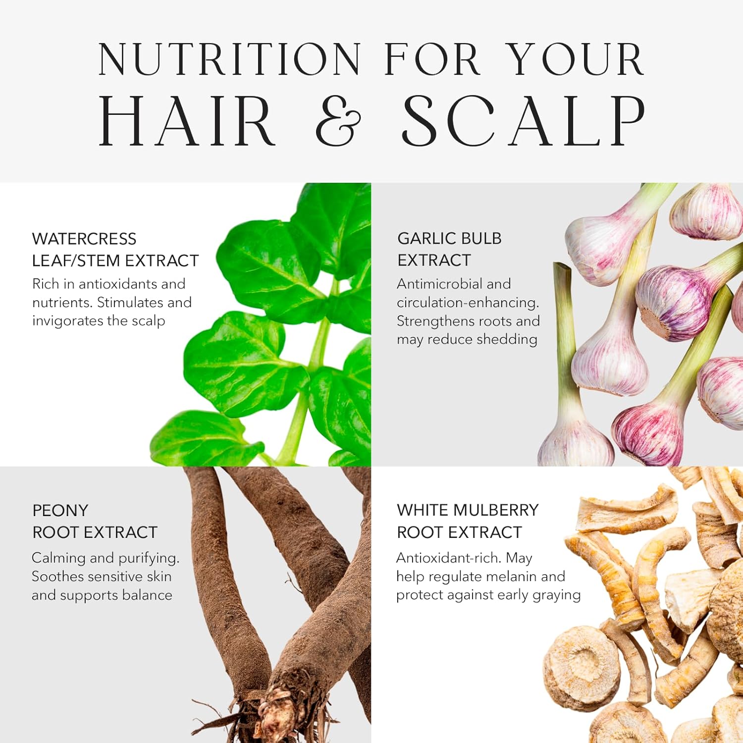 Kiwabi Root Beauté Itchy Scalp Shampoo – Sulfate-Free Natural Shampoo for Dry, Oily & Sensitive Skin – ph-Balanced Scalp Treatment with 23 Botanicals for Hair Growth & Hydration - Image 7