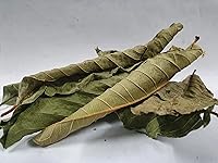 Vista 3 de Hojas secas de guayaba, hojas de guayaba, té de hoja de guayaba suelto 2 oz y 4 oz (2 oz)