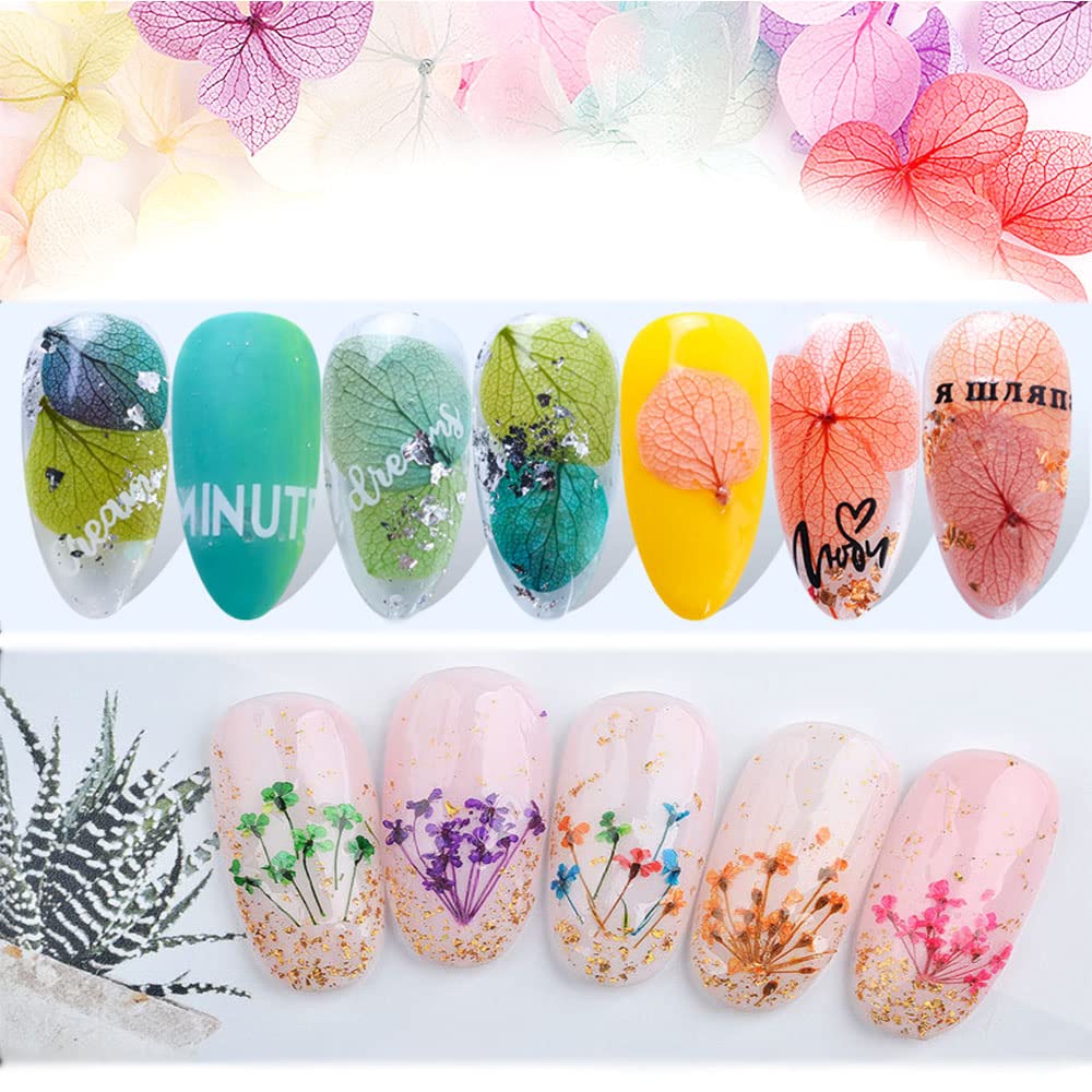 ネイルドライフラワー　ボックス入り ドライフラワー Amazon.co.jp: 2ボックス ドライフラワー ネイルパーツ 上質 押し花