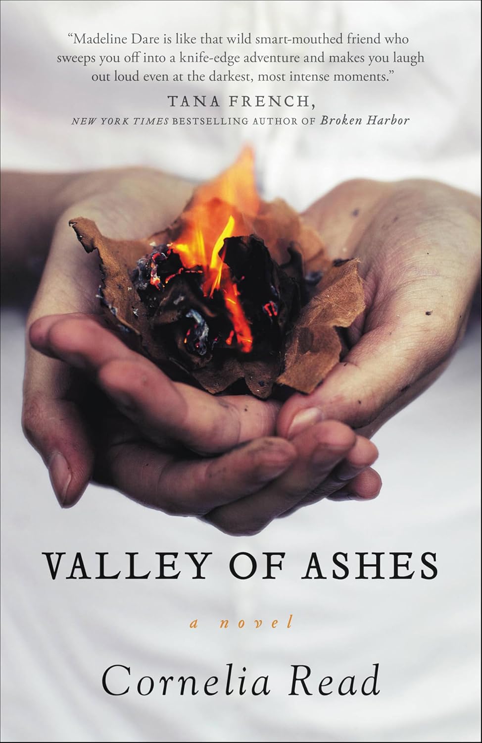 Valley of Ashes (The Madeline Dare Novels Book 4)