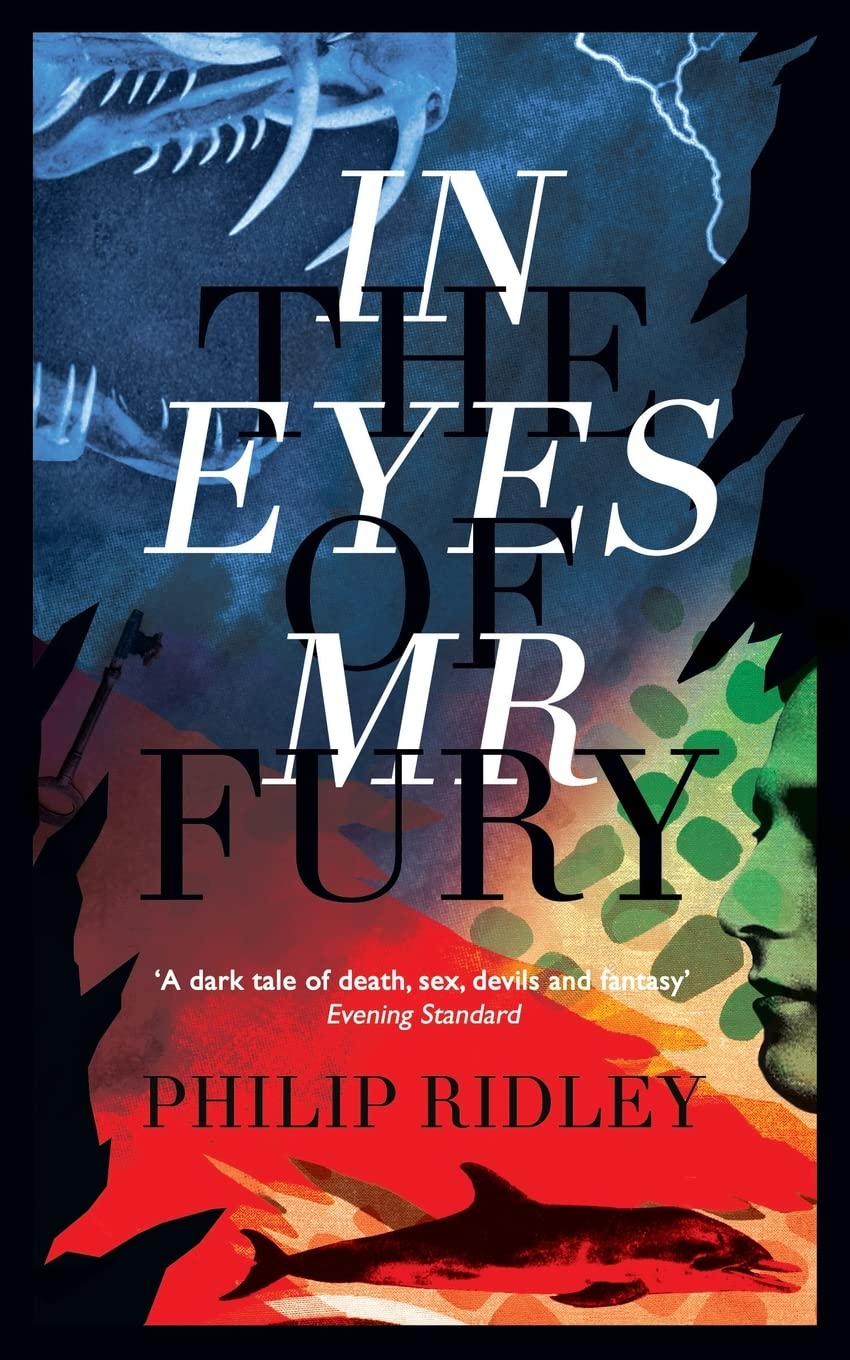 Buy In the Eyes of Mr Fury — BookShops.in