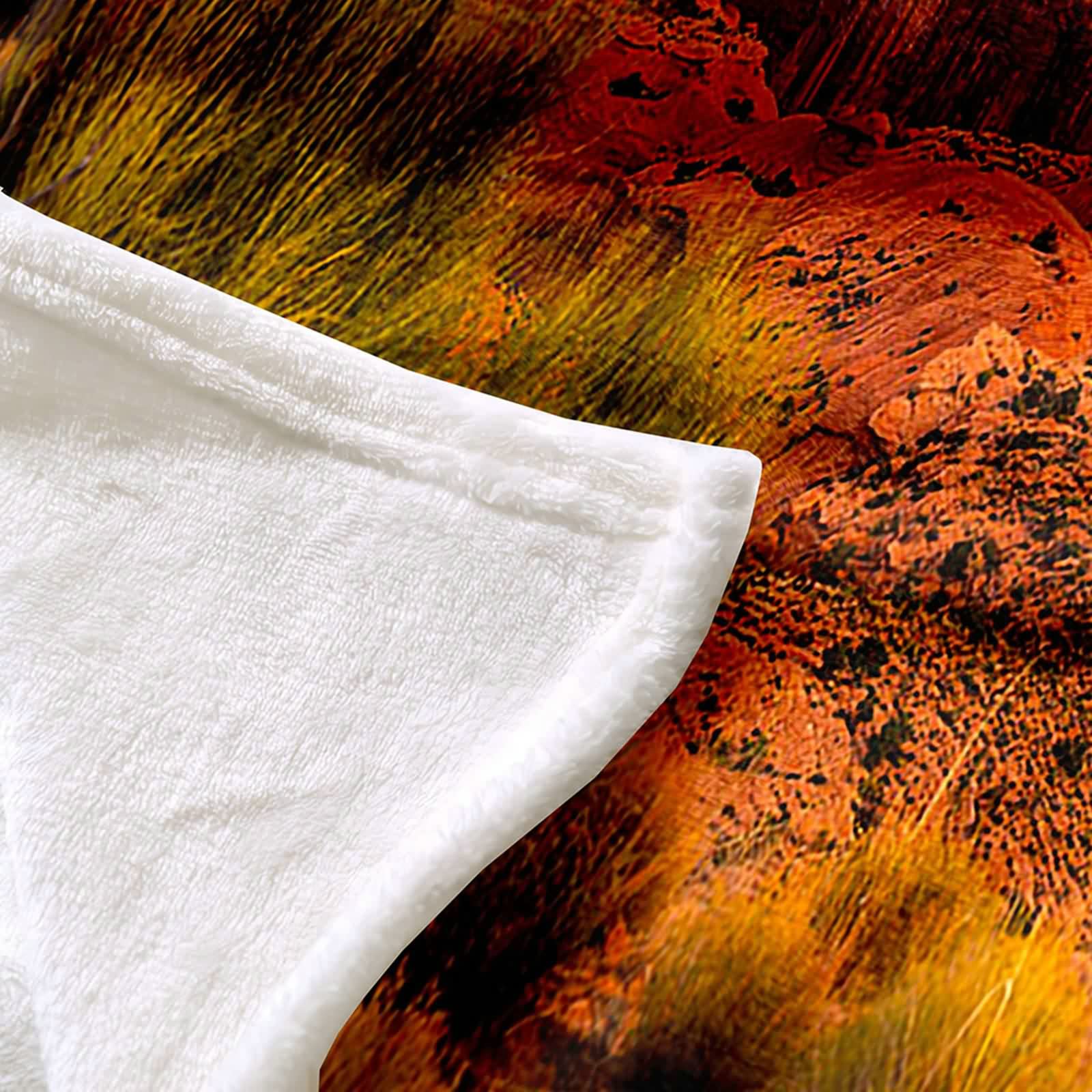 Aeici Couverture Polaire, Couverture Laine Flanelle Couverture 160x200 cm Montagnes et Rivières Couverture Canapé pour Salon Lit