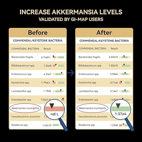 Miniatura 7 de Akkermansia Probiótico, suplemento GLP-1 para salud intestinal y digestión, enzimas digestivas DigeSEB y complejo de vitamina B  30 mil millones de