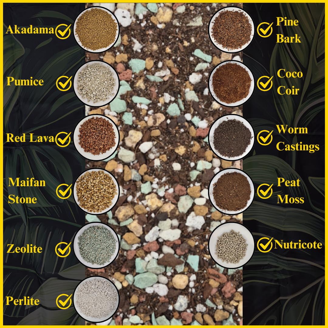 Terreau Spécial Cactus Et Succulentes - Mélange Perlite, Sable, Gravier - Pour Rempotage, Drainage Optimal - Sac Refermable