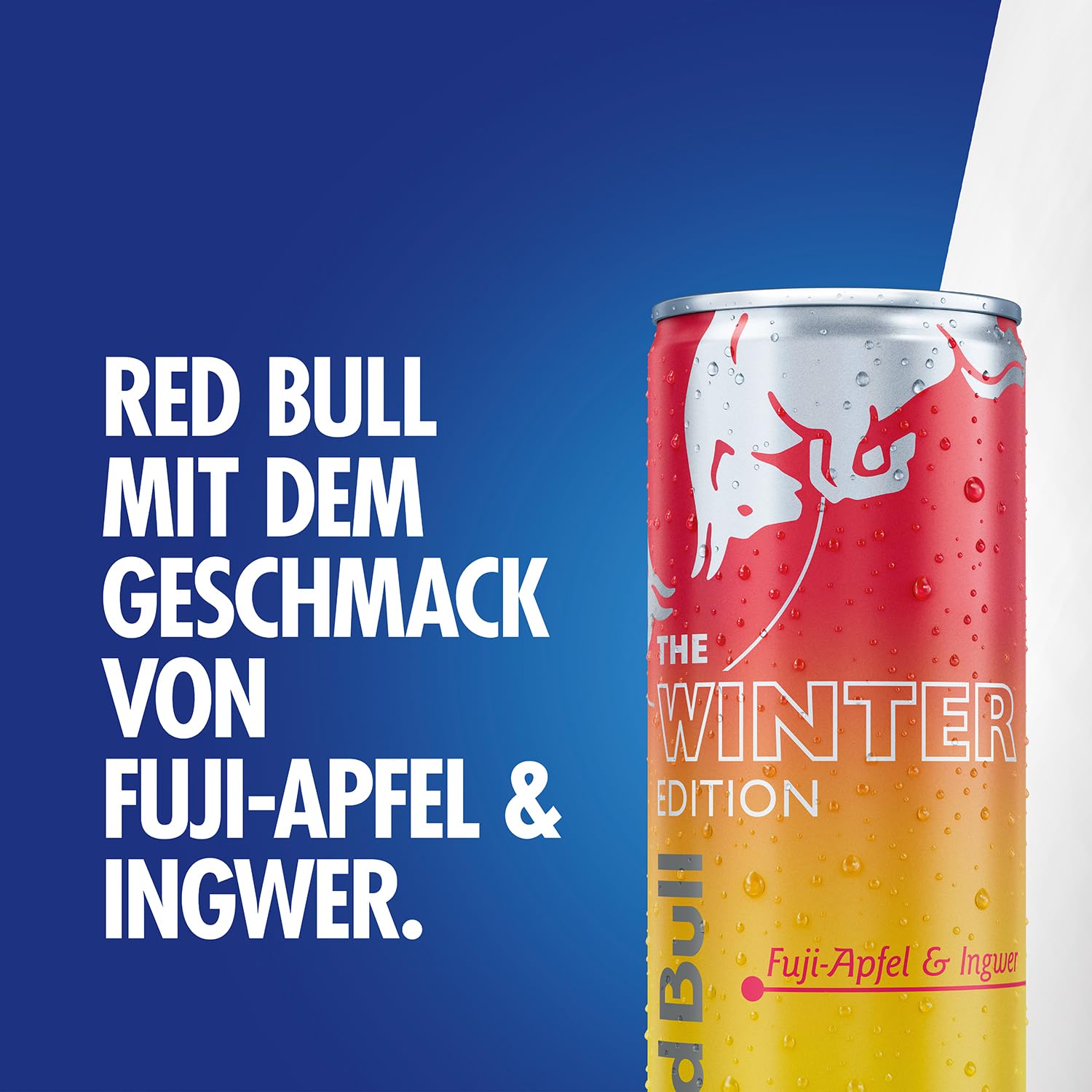 Red Bull Energy Drink Winter Edition - 24er Palette Dosen - Getränke mit Fuji-Apfel und Ingwer-Geschmack, EINWEG (24 x 250 ml)