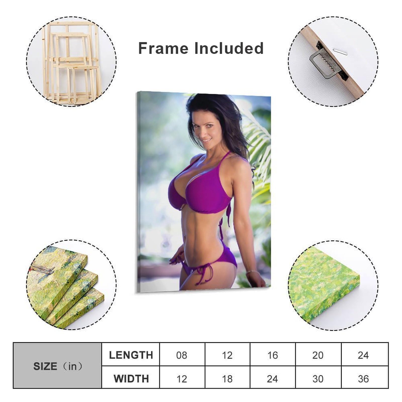 Denise Milani Sexy Poster (84) Artworks Canvas Poster Room