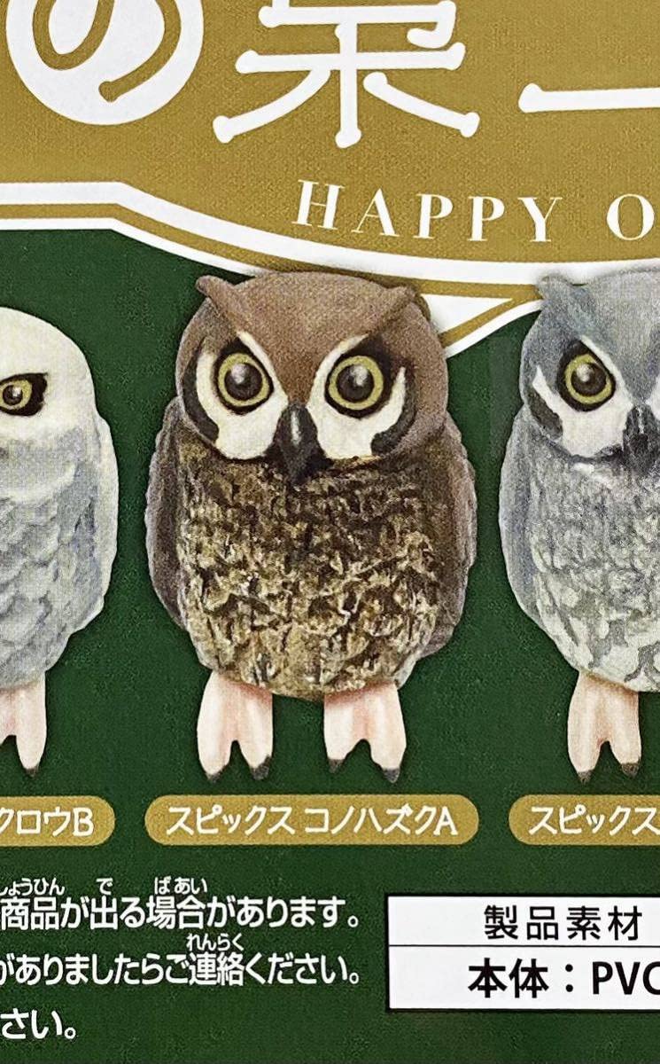 フクロウコレクション全5羽 人工フクロウ鳥の羽現実的な剥製の家の庭の装飾 : STKショップ