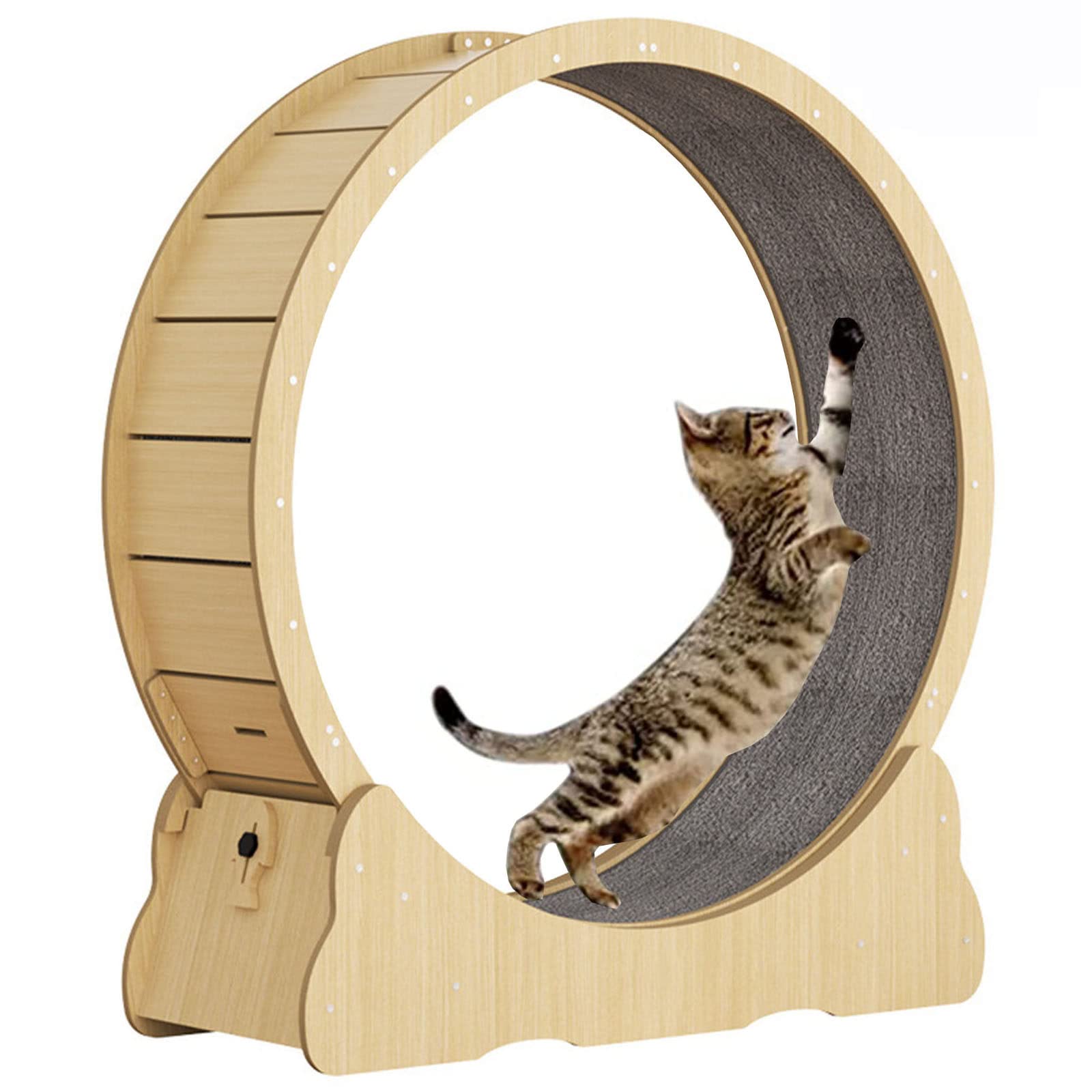 Amazon.co.jp: 屋内猫のための猫のホイールフィットネス、屋内オール