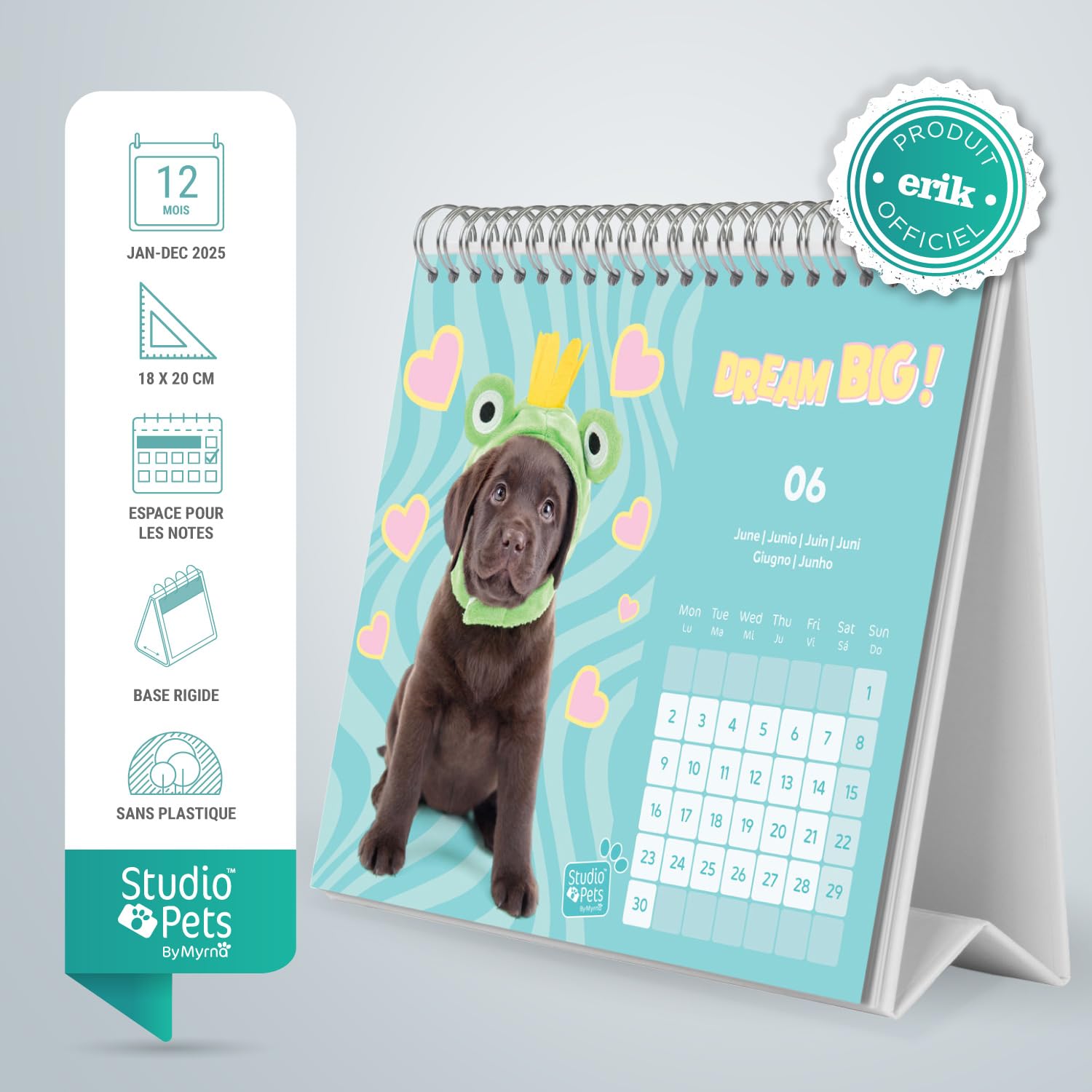 Calendrier De Bureau 2026 Avec Photos De Chiens - Format 17x20 Cm - Papier épais 300g - Mensuel De Janvier à Décembre - Multilingue (français Inclus)