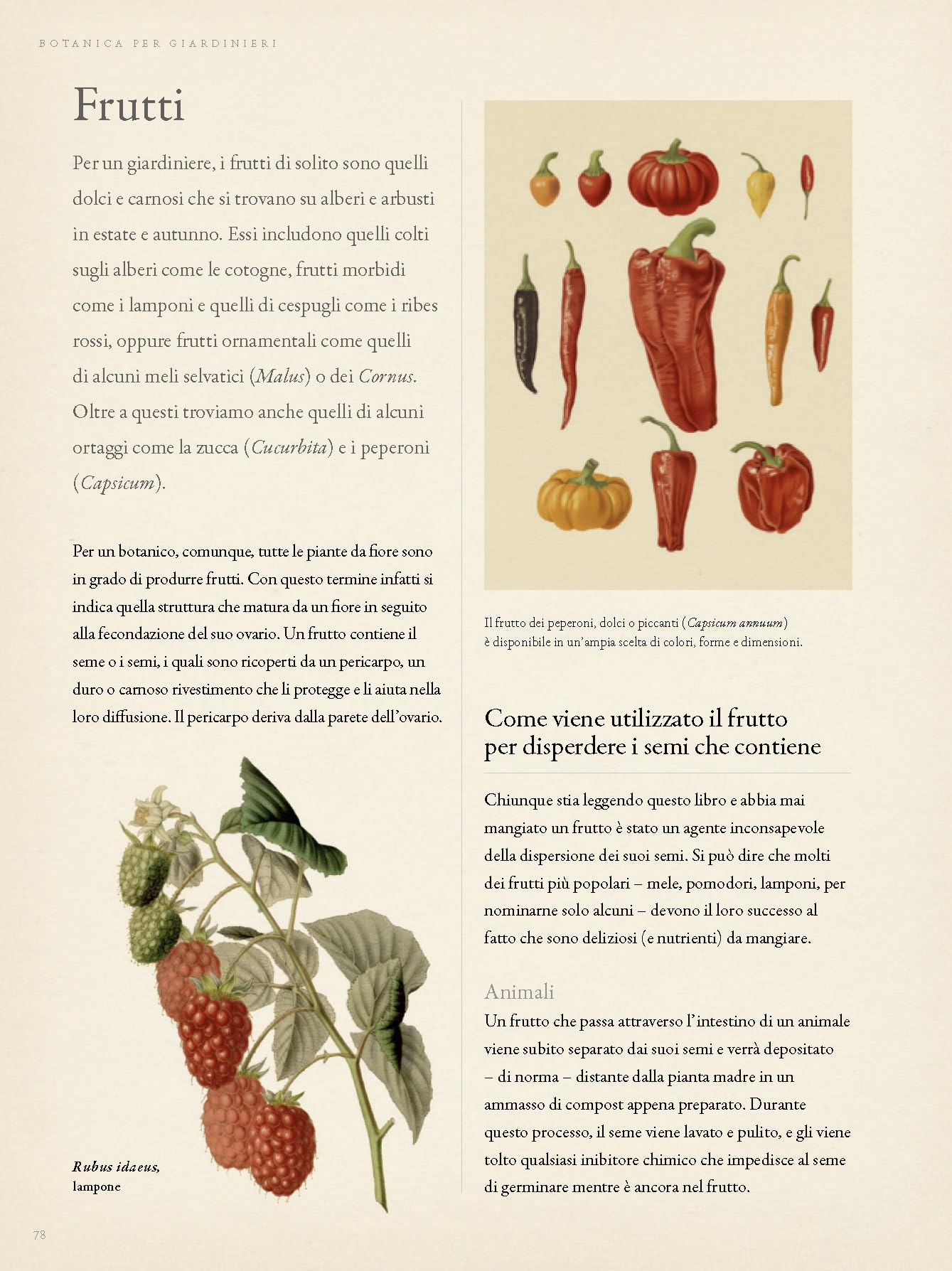 Botanica per giardinieri. L'arte e la scienza del giardinaggio spiegate e raccontate