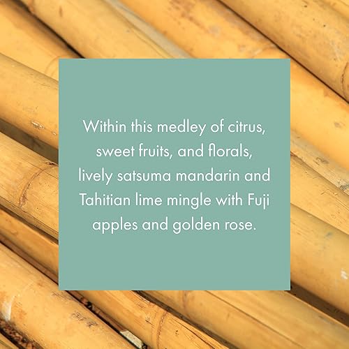 Miniatura 2 de Cartucho de fragancia mensual para Whisper Home - Golden Bamboo