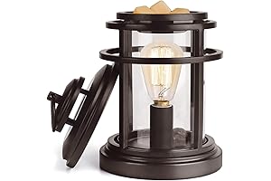 SALKING 2-in-1 Electric Wax Melt Warmer and Fragrance Oil Warmer