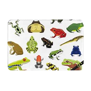カエルのマット Amazon | カエル 種類 図鑑 玄関マット 可愛い 屋外 室内 滑り