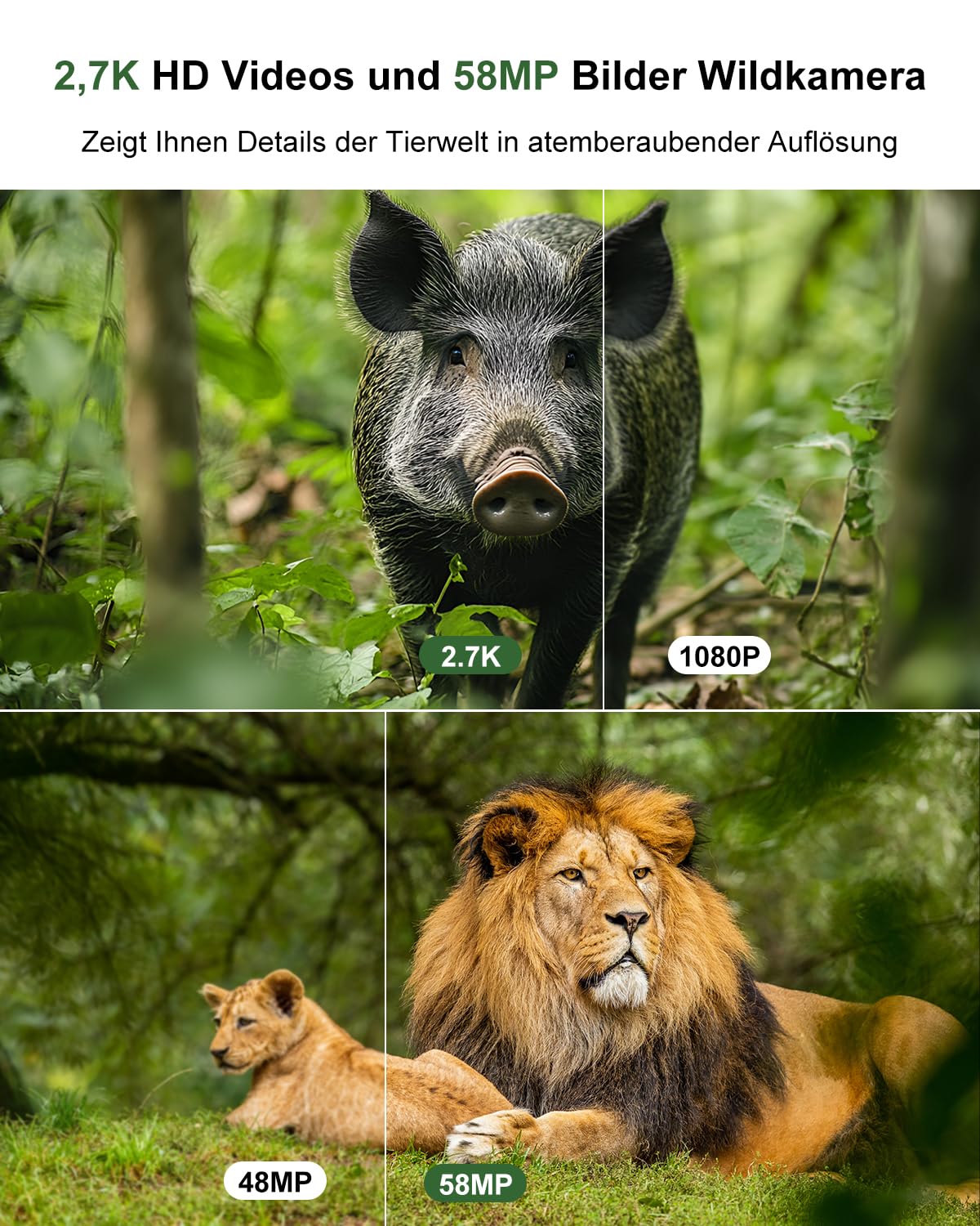 Wildkamera, 2.7K Video Wildtierkamera mit Bewegungsmelder, 0,1s Auslösezeit Wildcamera Jagdkamera Testsieger Nachtsicht mit 32G Speicherkarte IP66 Wasserdicht 120° Weitwinkel