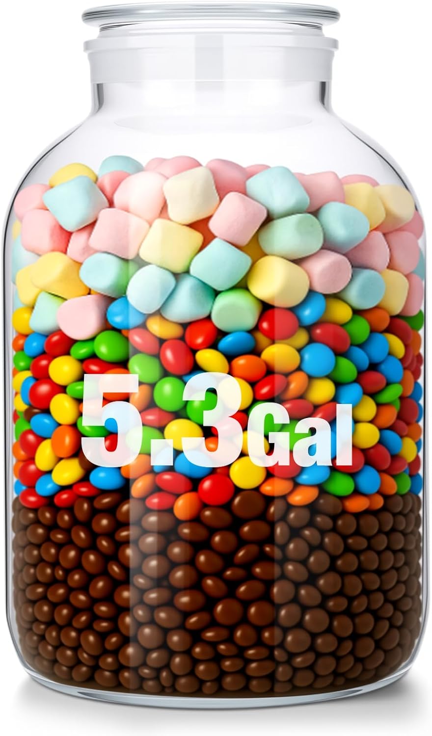 Maxdot 2.7 Gallon Glass Jars with Bamboo Lids, Large Cookie Jars 1 Pack Glass Storage Container with Lids for Kitchen Storage Flour, Rice, Sugar, Pasta, Candy