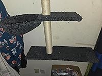 Review Image by Lindsey Lindsey