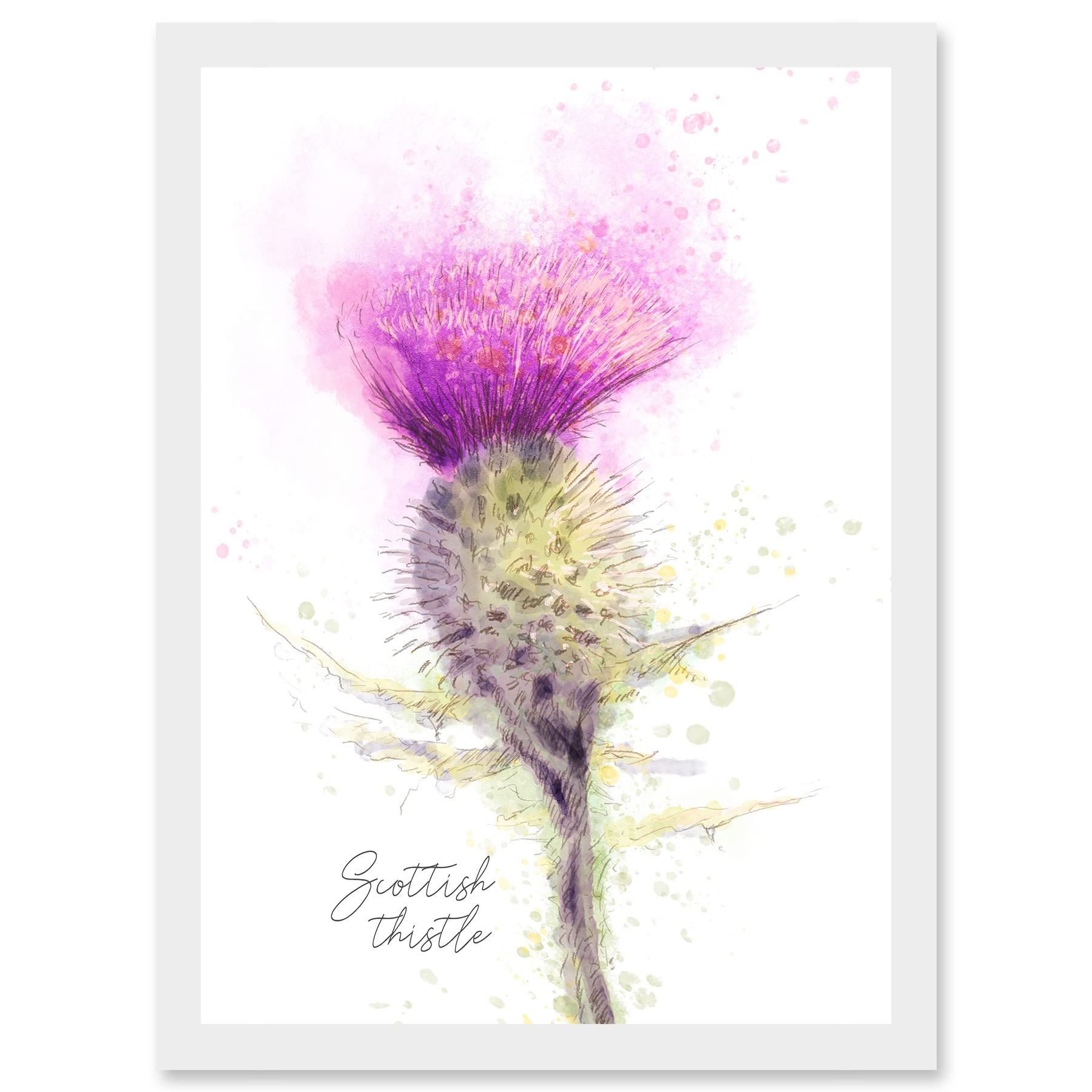 Wee Blue Coo Scottish Thistle Flower Head Watercolour Scotland A4 Artwork Framed Wall Art Print