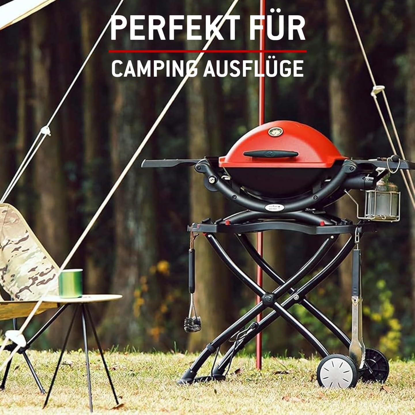 Weber Rollwagen