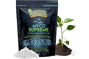 Mycorrhizal Fungi for Soil: The Ultimate Root Stimulator for Thriving Plants