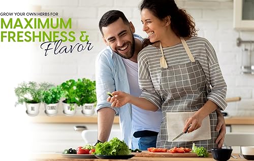 Miniatura 5 de Kit de jardín de hierbas de lujo para interiores y exteriores, 8 o las hierbas culinarias más populares con macetas y tierra para cultivo de