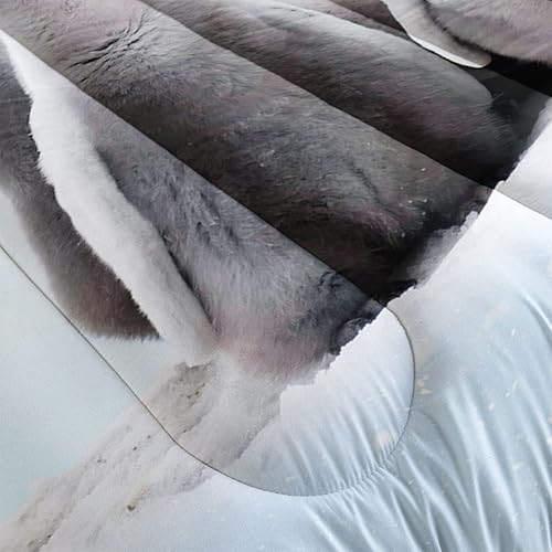 Miniatura 5 de Datura home Juego de edredón con estampado de pingüinos y nieve, juego de ropa de cama con 1 edredón y 2 fundas de almohada para dormitorio de niñas