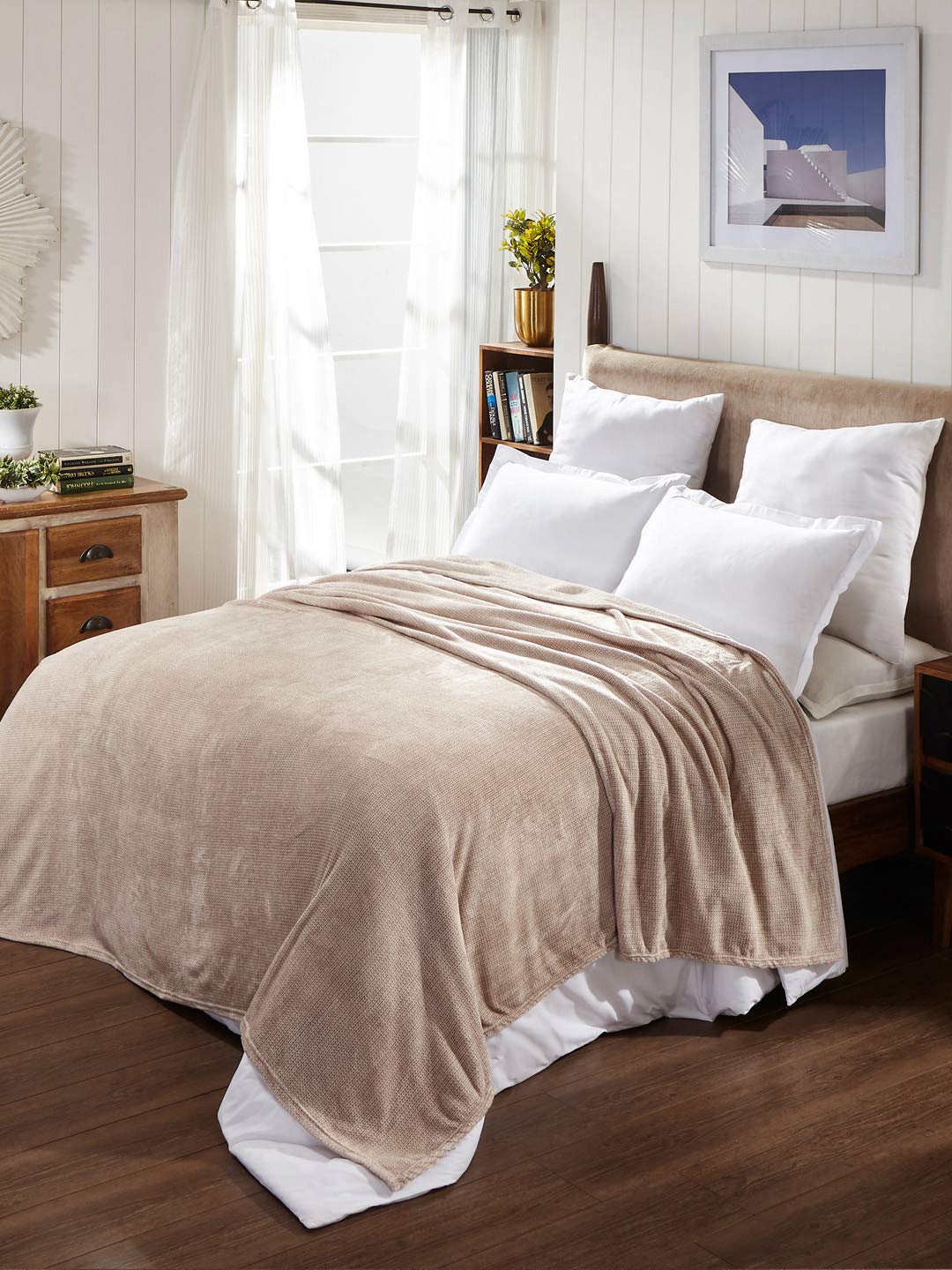 Buy Portico New York Jersey 1 Double Blanket Beige Online at Low