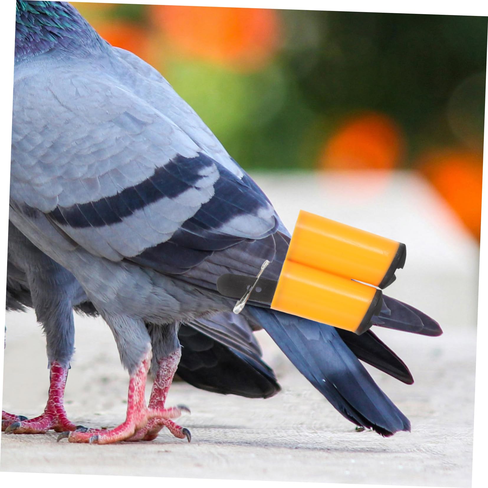 IWOWHERO 2Pcs Lightweight Pigeon Whistle Portable Professional Training Whistles for Easy Use for Outdoor Activities Random Color