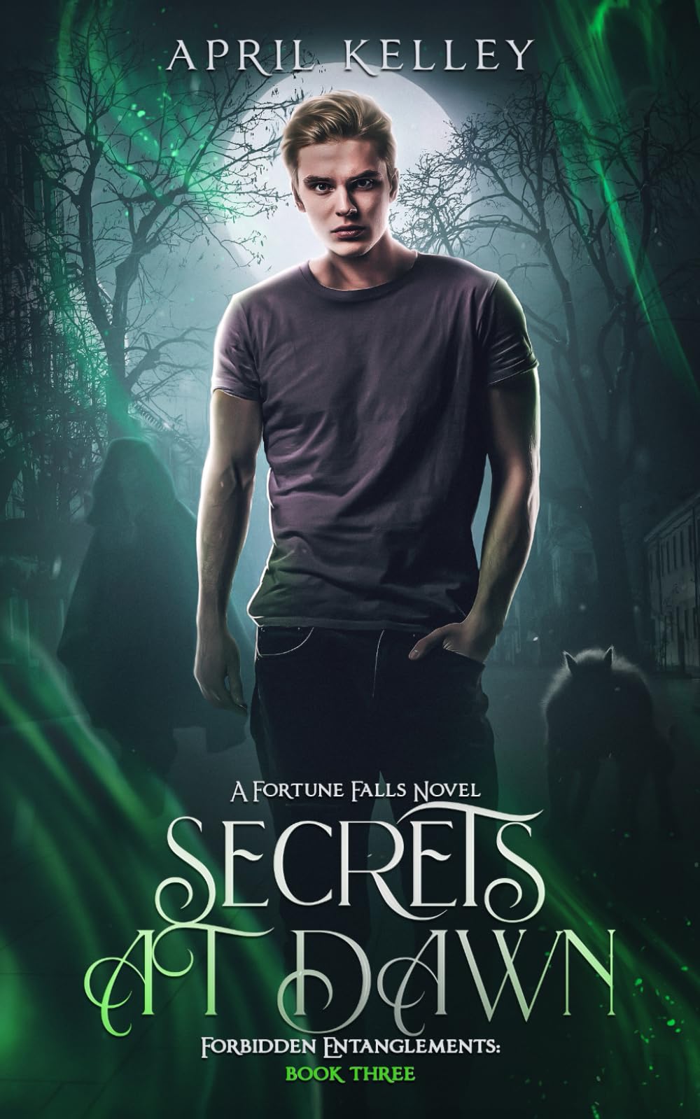 Secrets at Dawn: A Forbidden Fated Mates MM Paranormal Romance: 3 (Forbidden Entanglements)