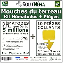 Nematode Kit 5 Million + 10 Sticky Traps XXL – Against Soil Flies – Long-Lasting Gel Formulation for Treating 25 Pots