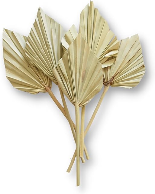 The Baked Studio - The Original 5-Piece MINI Dried Palm Spears For Cake Decorating DIY Craft Project Home Wedding Party Décor (Natural Mini Edition)