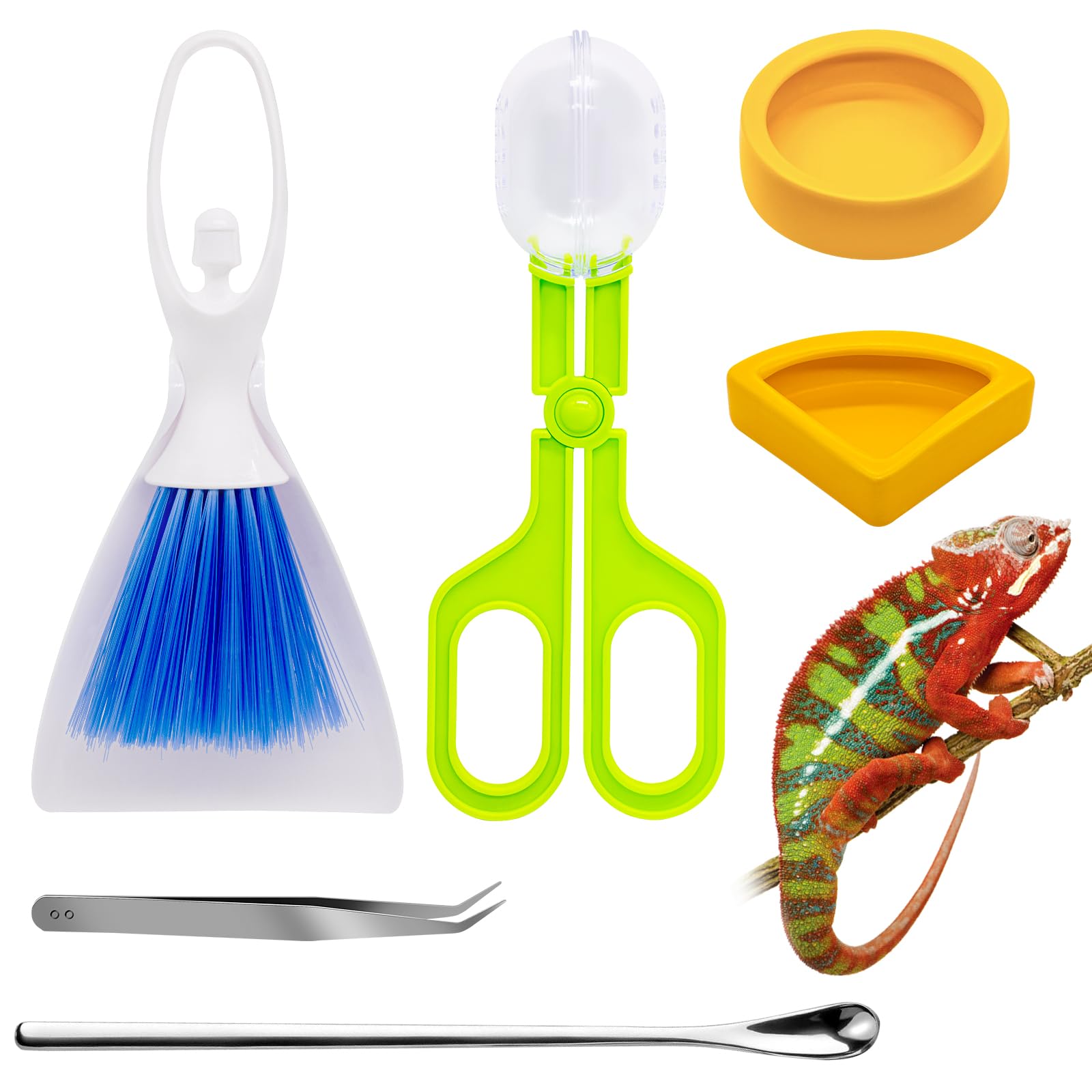 Waltool 6 Pcs Reptile Feeding Tools Set Contains Mini Dustpan and Brush, Clamp Cricket Tongs, Worm Dishes, Long Handle Tweezers and Mixing Spoon for Reptiles Snakes Lizard Gecko Spider and Bird