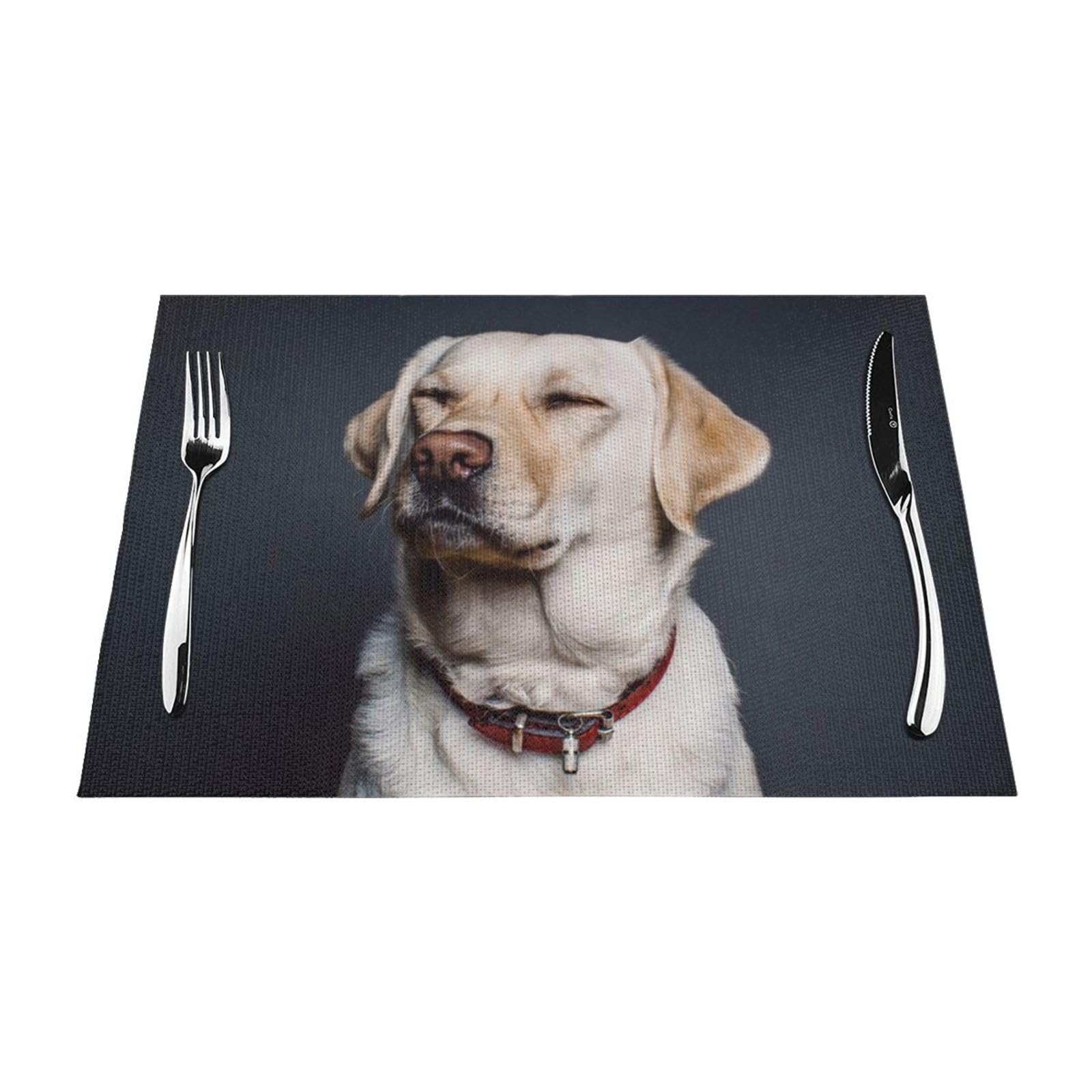 Set de table labrador lavable pour embellir vos déjeuners en terrasse