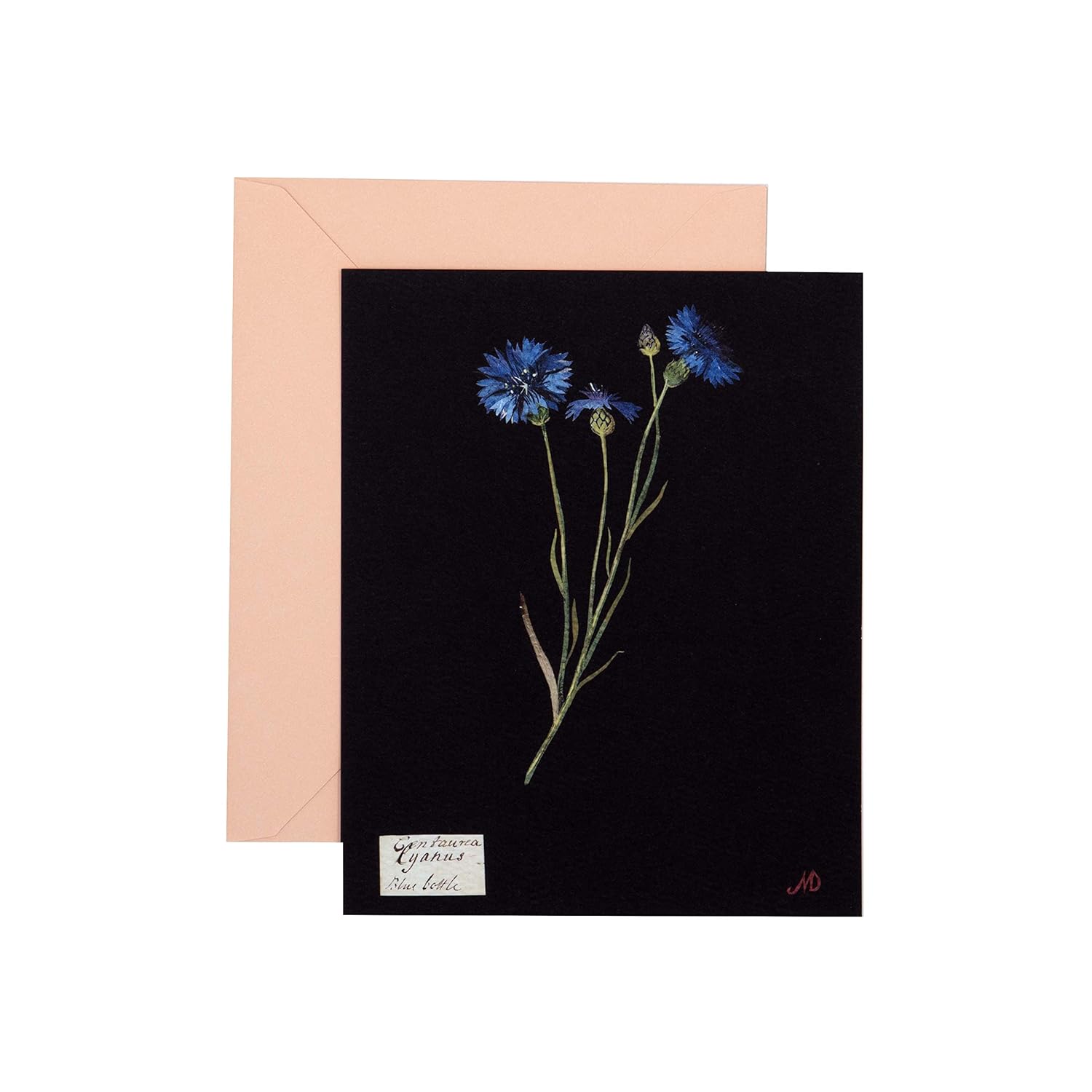 Paper Flowers Cards and Envelopes: The Art of Mary Delany - Image 7