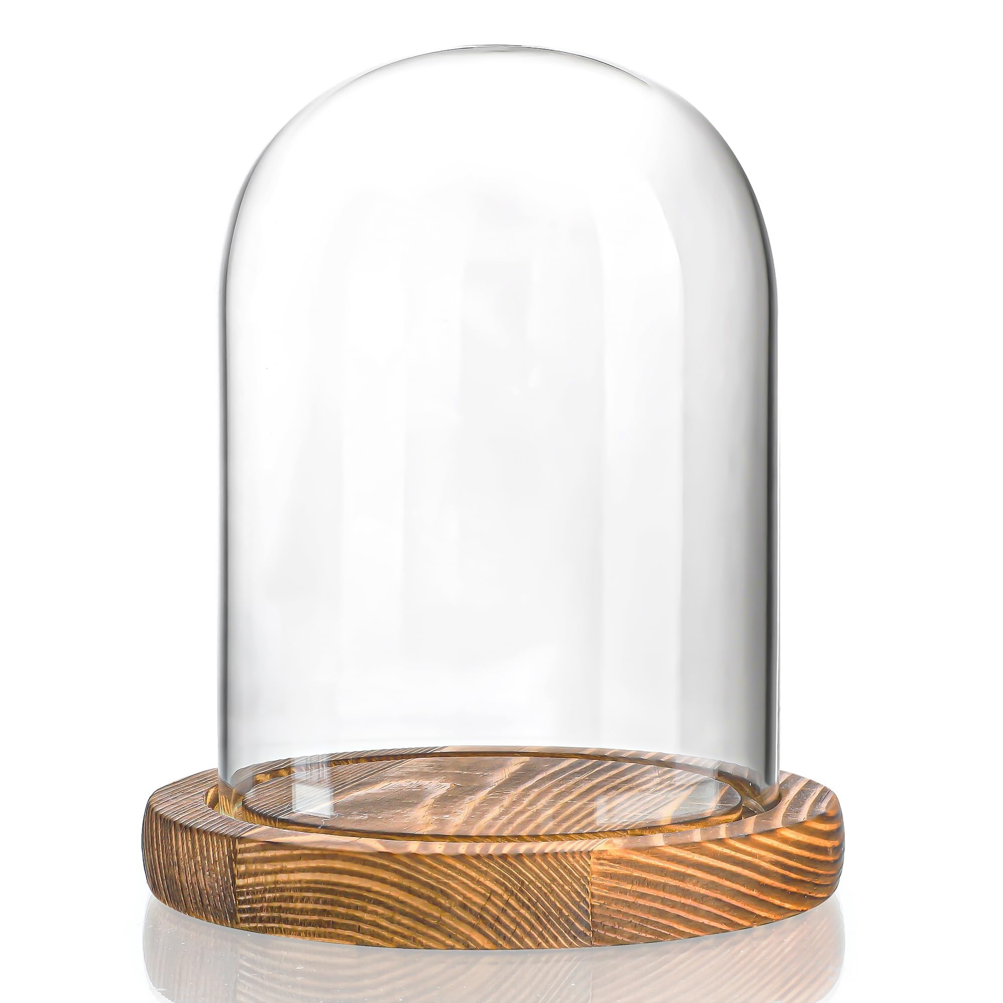 ZEERSHEE Cloche Glass Dome with Wooden Base