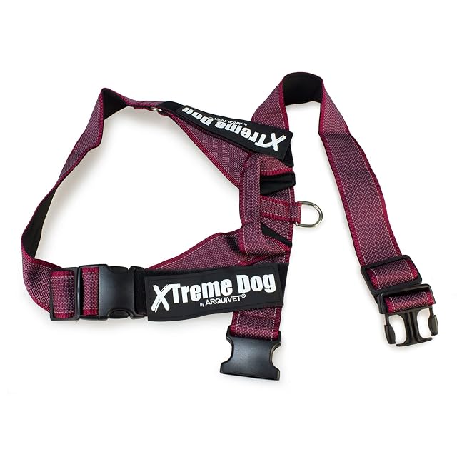 Foto 2 de 6 de ARQUIVET Arnés para Perro Xtreme Dog Classic de Color Rosa - Talla M/58-76 cm