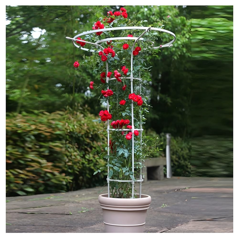 Zfmnoyev Tuteur De Jardin pour Plantes Grimpantes, Support pour Plantes en Métal Extensible Et Résistant À La Rouille, Trellis en Métal pour Plantes Et Fleurs(Blanc,75x175cm)