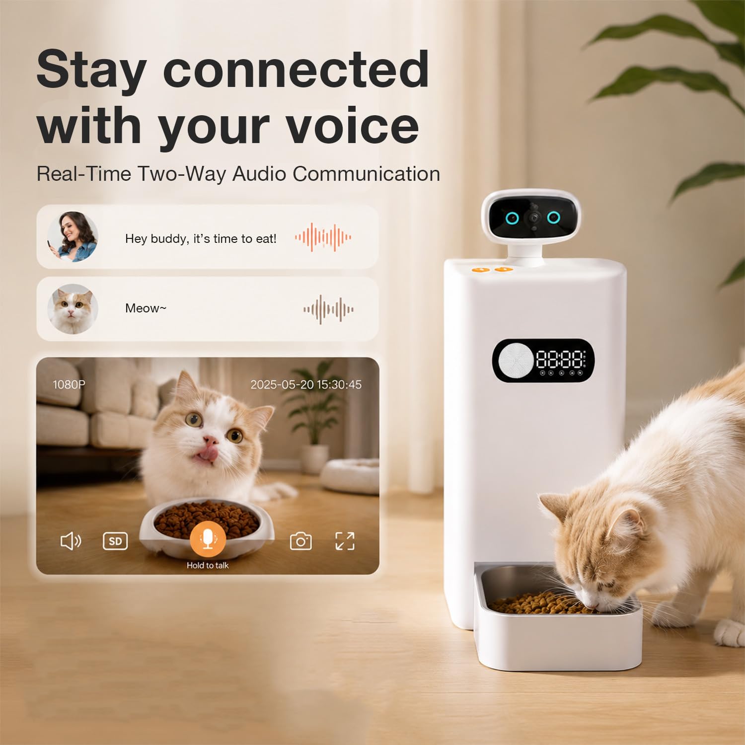 Intelligenter Futterautomat mit Kamera WLAN für Katzen und Hunde
