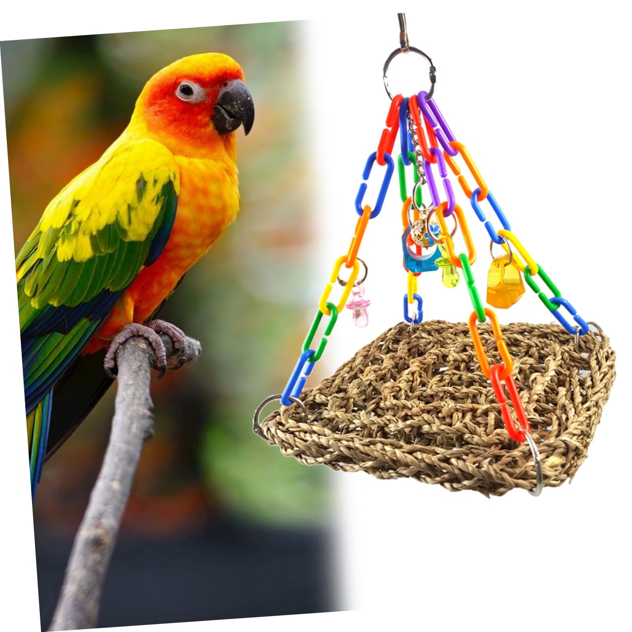 BESPORTBLE 3pièces Balancelle pour Perroquets Jouet à Mâcher pour Oiseaux Plateforme Petit Modèle pour Perruches Et