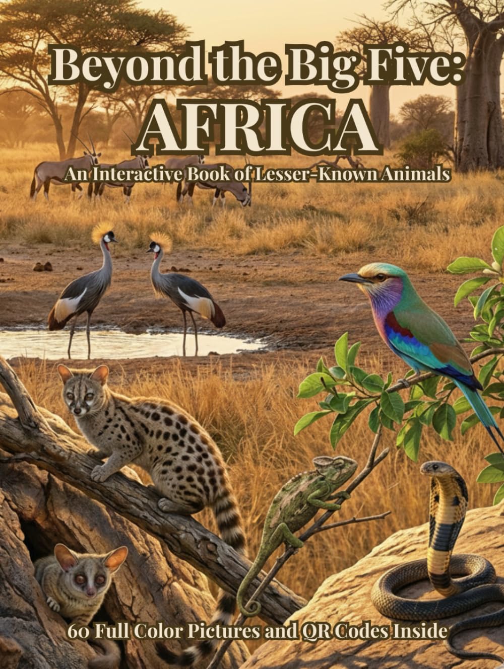 Beyond the Big Five: AFRICA: An Interactive Book of Lesser-Known Animals