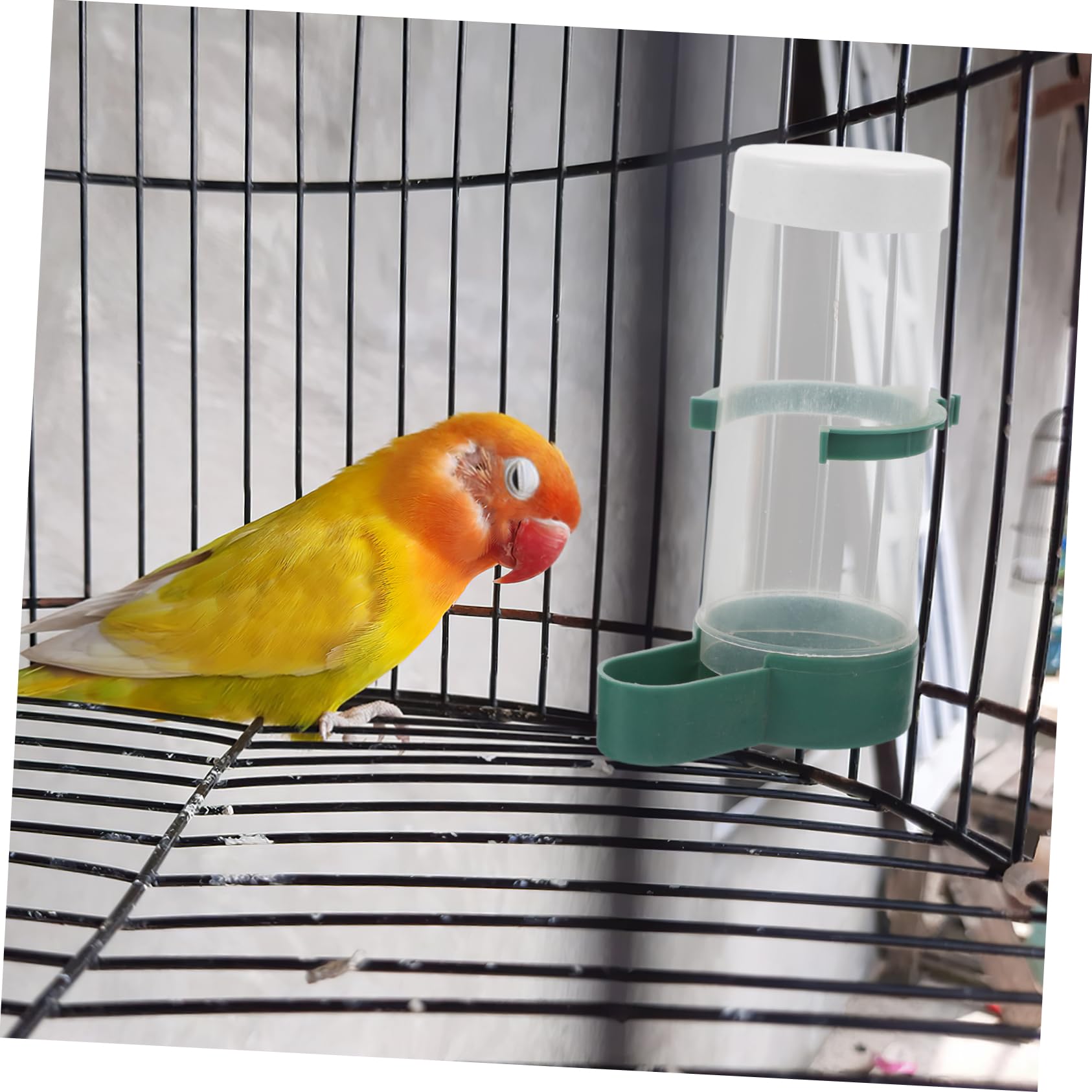 INOOMP Dispensador Automático de Comida para Pájaros 20 Pcs Diseño de Llenado Superior, Plástico Resistente para Jaula y Nido de Periquitos y Cacatúas