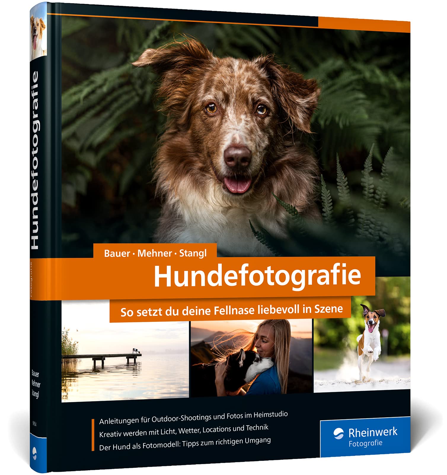 Hundefotografie: Fellnasen liebevoll in Szene setzen. So gelingen Hundeporträts mit Ausdruck und Witz – draußen und im Studio. 350 Seiten Profi-Wissen