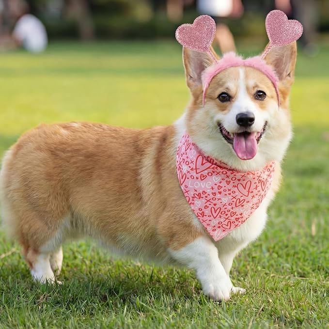 Conjunto de Ropa para Perro de San Valentín 9 Piezas miniatura 5
