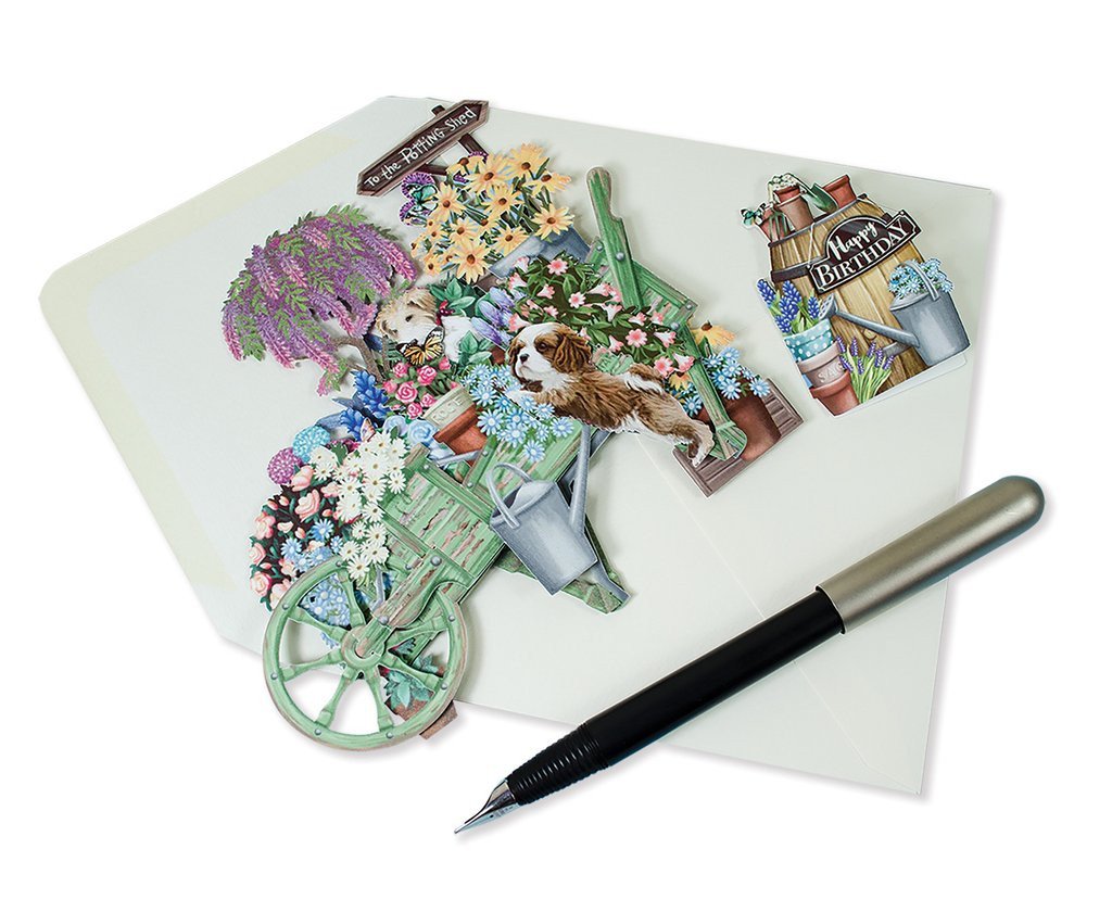 Amazon.com: Paper D'Art 3D Pop Up Birthday Card : Office Products